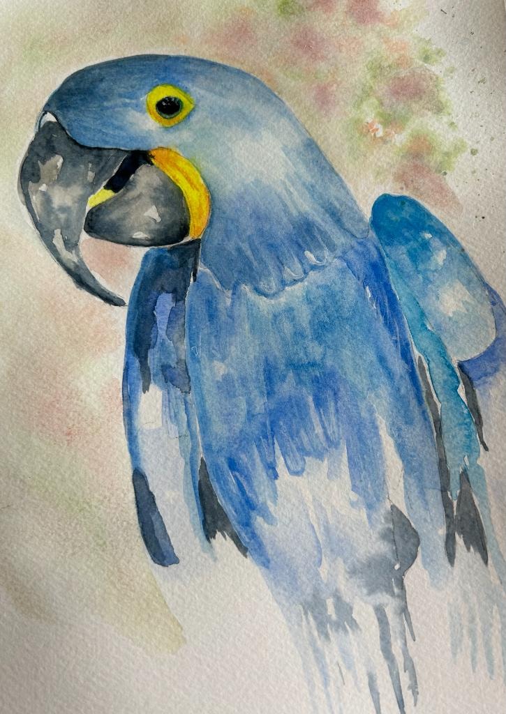 Blue Bird on Paper preview